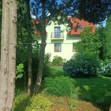 Pod Modrzewiami Apartman Milówka Kültér fotó