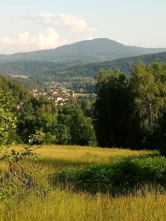 Pod Modrzewiami Apartman Milówka Kültér fotó