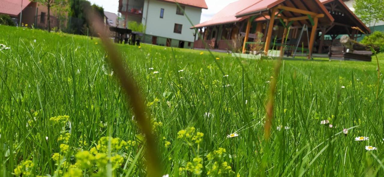 Pod Modrzewiami Apartman Milówka Kültér fotó