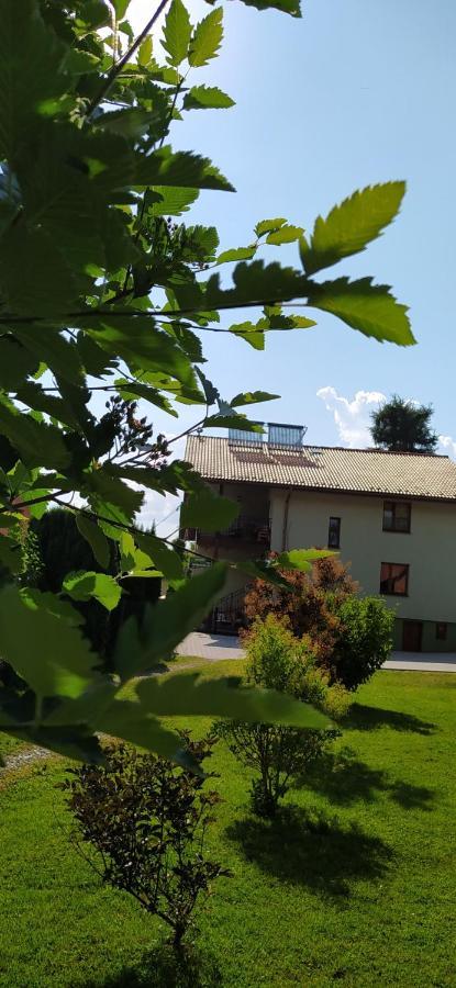 Pod Modrzewiami Apartman Milówka Kültér fotó