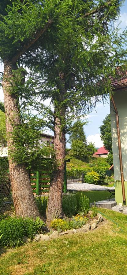 Pod Modrzewiami Apartman Milówka Kültér fotó