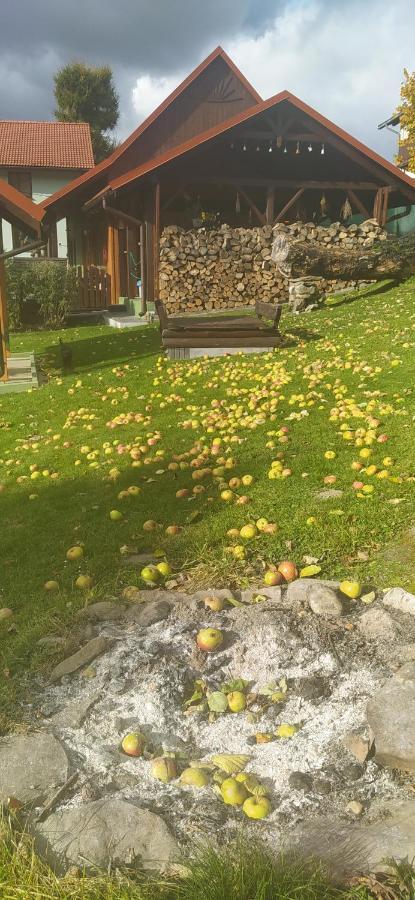 Pod Modrzewiami Apartman Milówka Kültér fotó